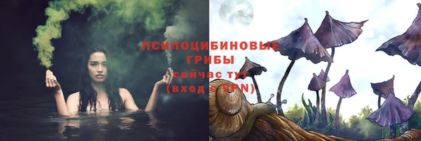 ГАЛЛЮЦИНОГЕННЫЕ ГРИБЫ Сафоново