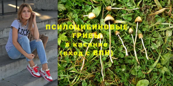 ГАЛЛЮЦИНОГЕННЫЕ ГРИБЫ Сафоново